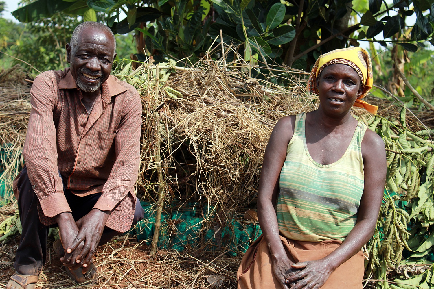 Zedrack and his wife sitting in their agroforestry tree nursery, managing seedlings for sustainable farming.