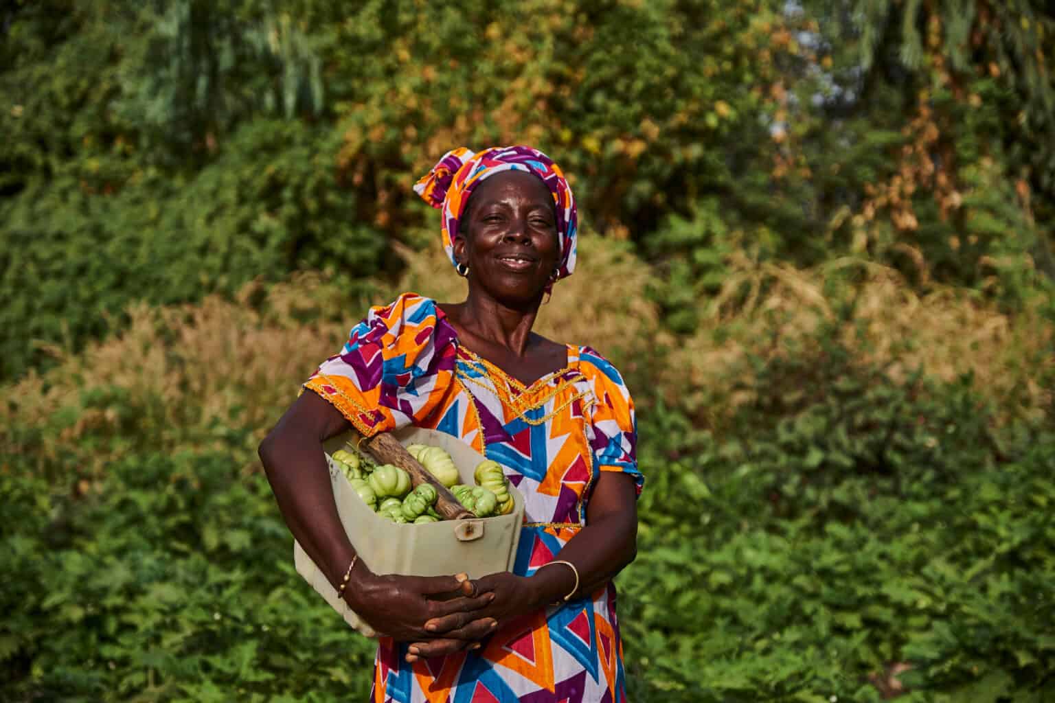 About Us Trees for the Future Highlights Our Mission