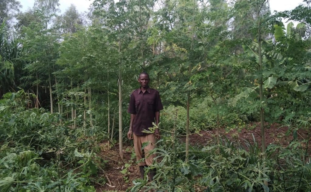 Antony standing in lush agroforestry plot, benefiting from Trees for the Future’s Forest Garden program.