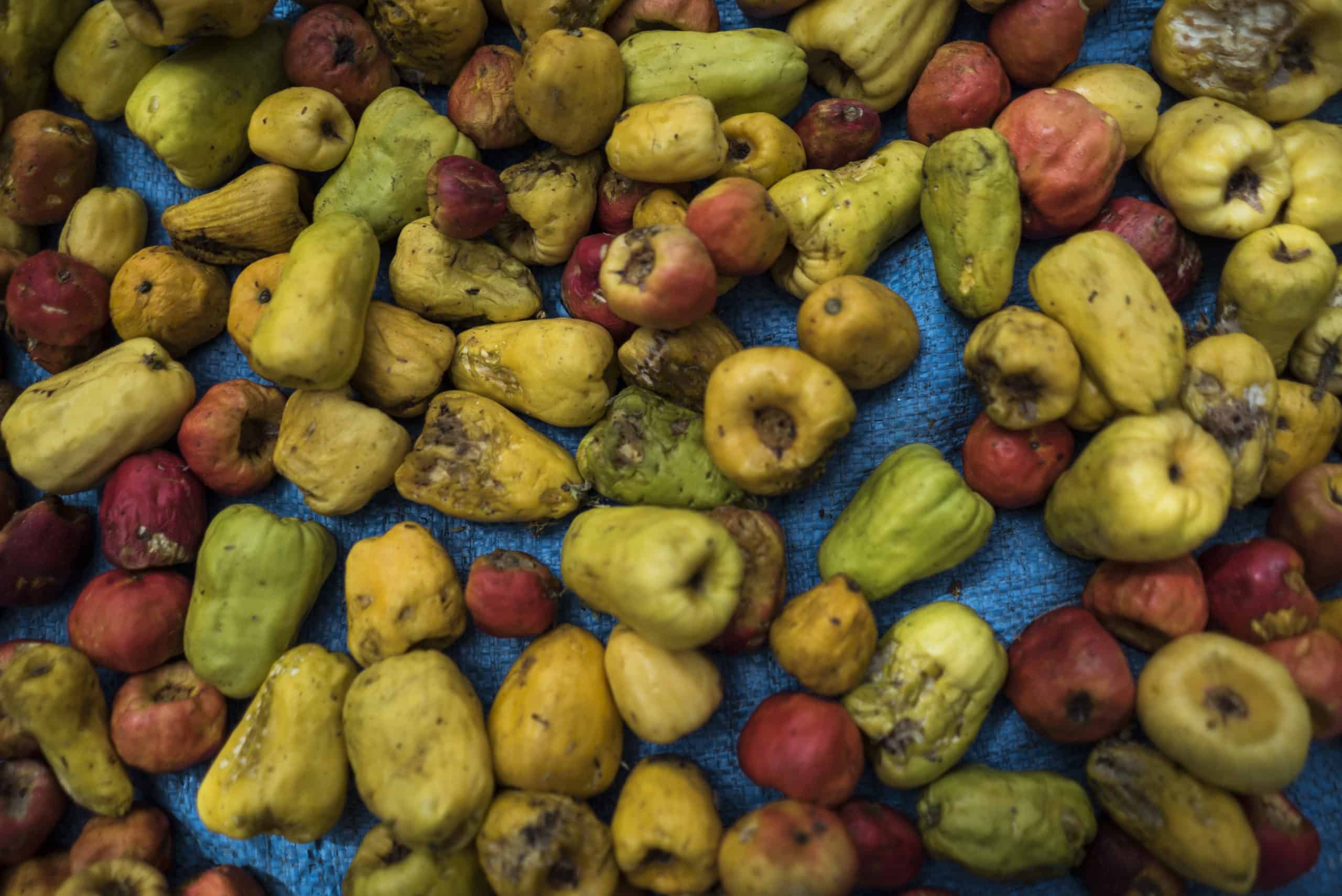 Cashews Come From Apples And Other Things That Blow Our Minds 