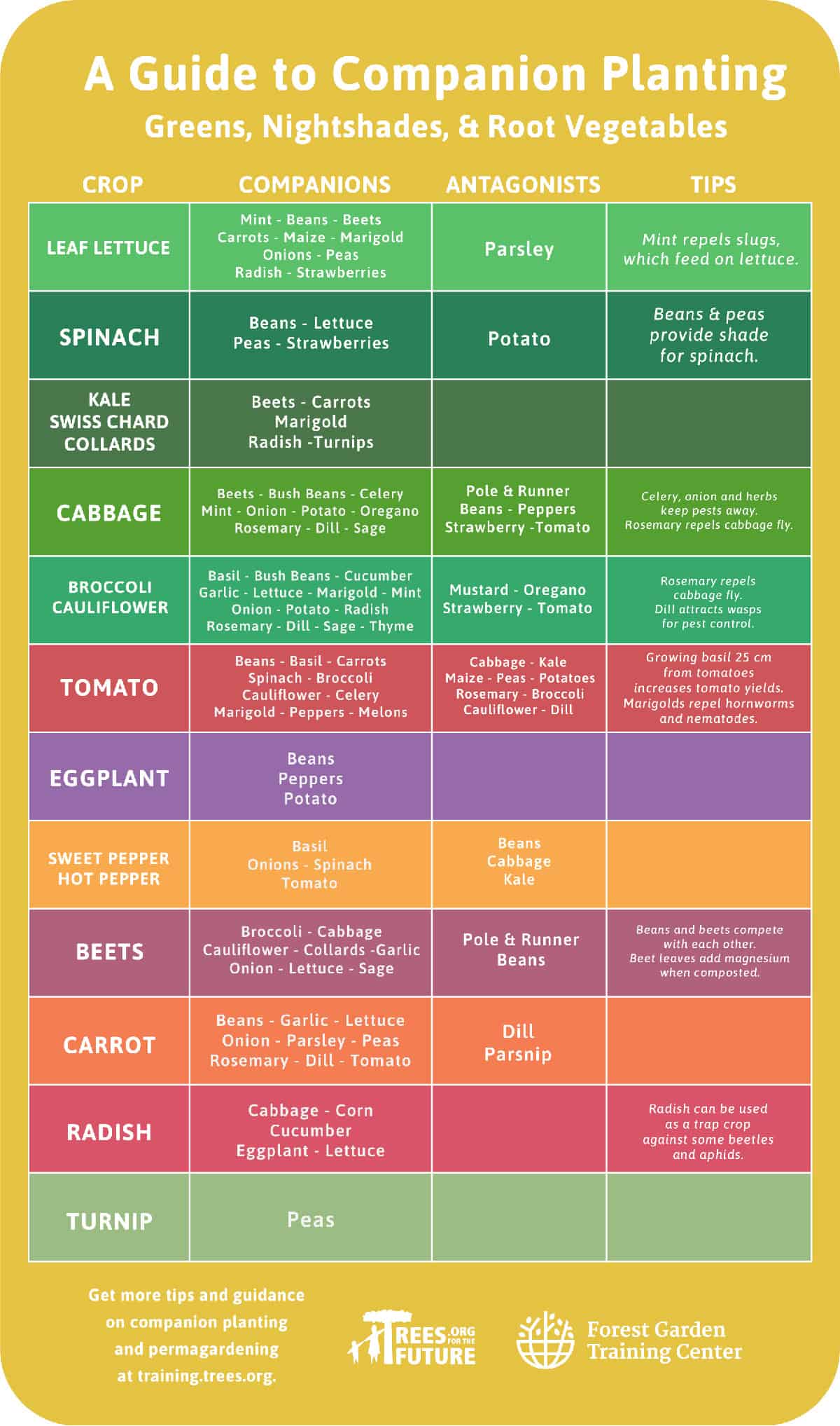 Companion-Planting_Trees-for-the-Future_Greens