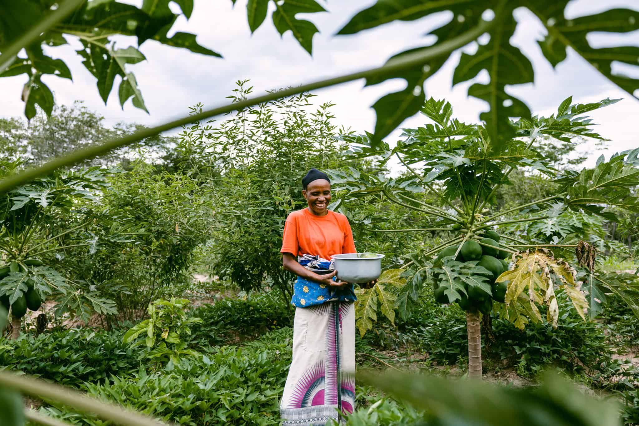 Trees for the Future Planting Today for a Greener Tomorrow