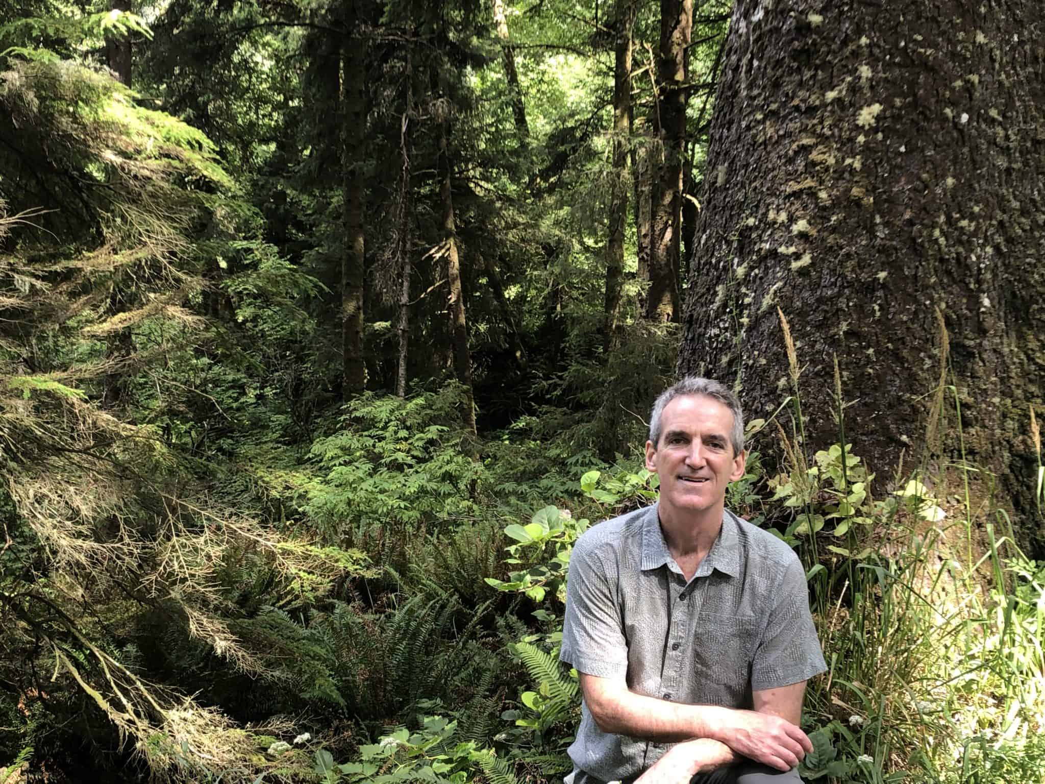 Tim McLellan Appointed CEO of Trees for the Future