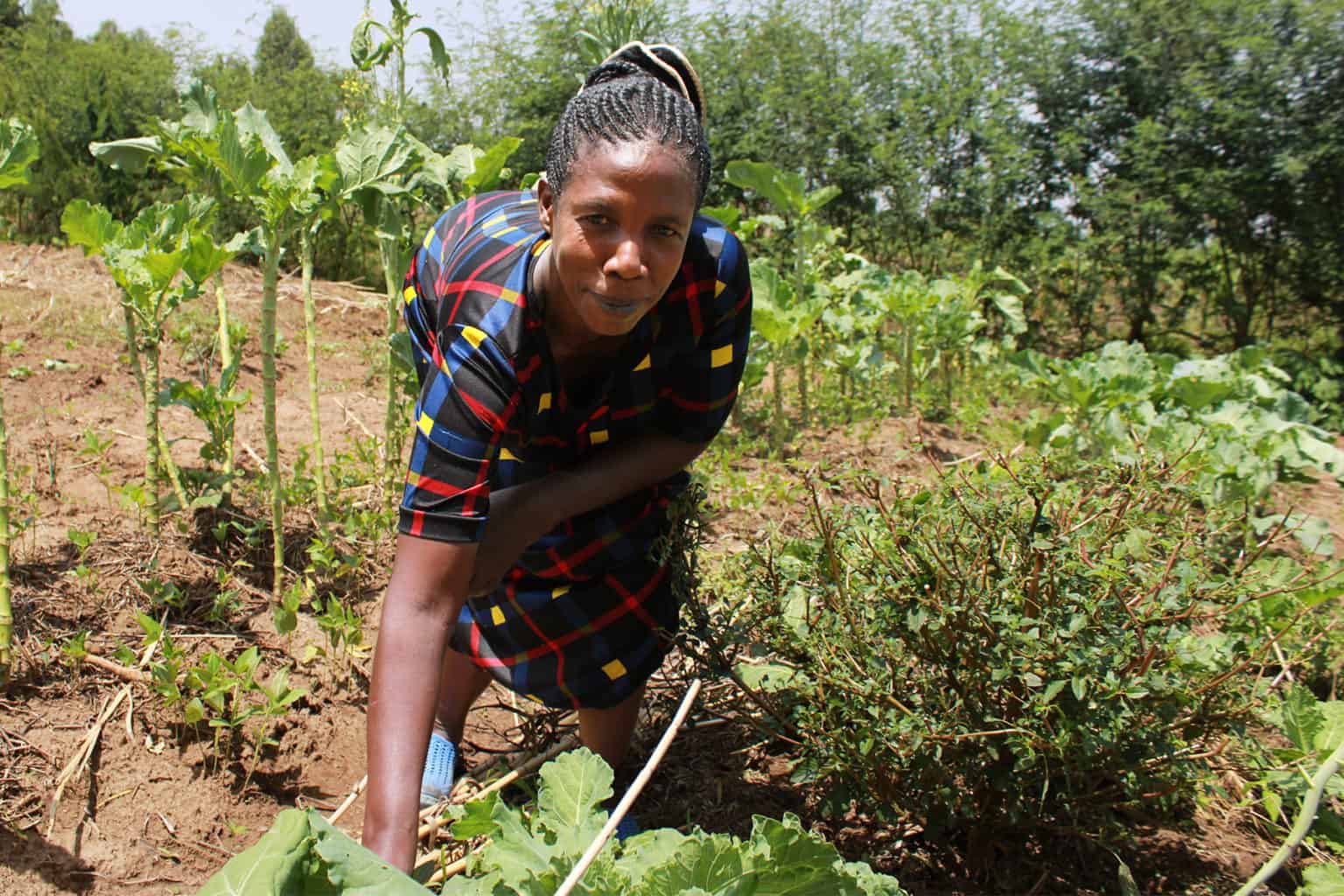 Determination is Power for Christine Akello - Trees for the Future