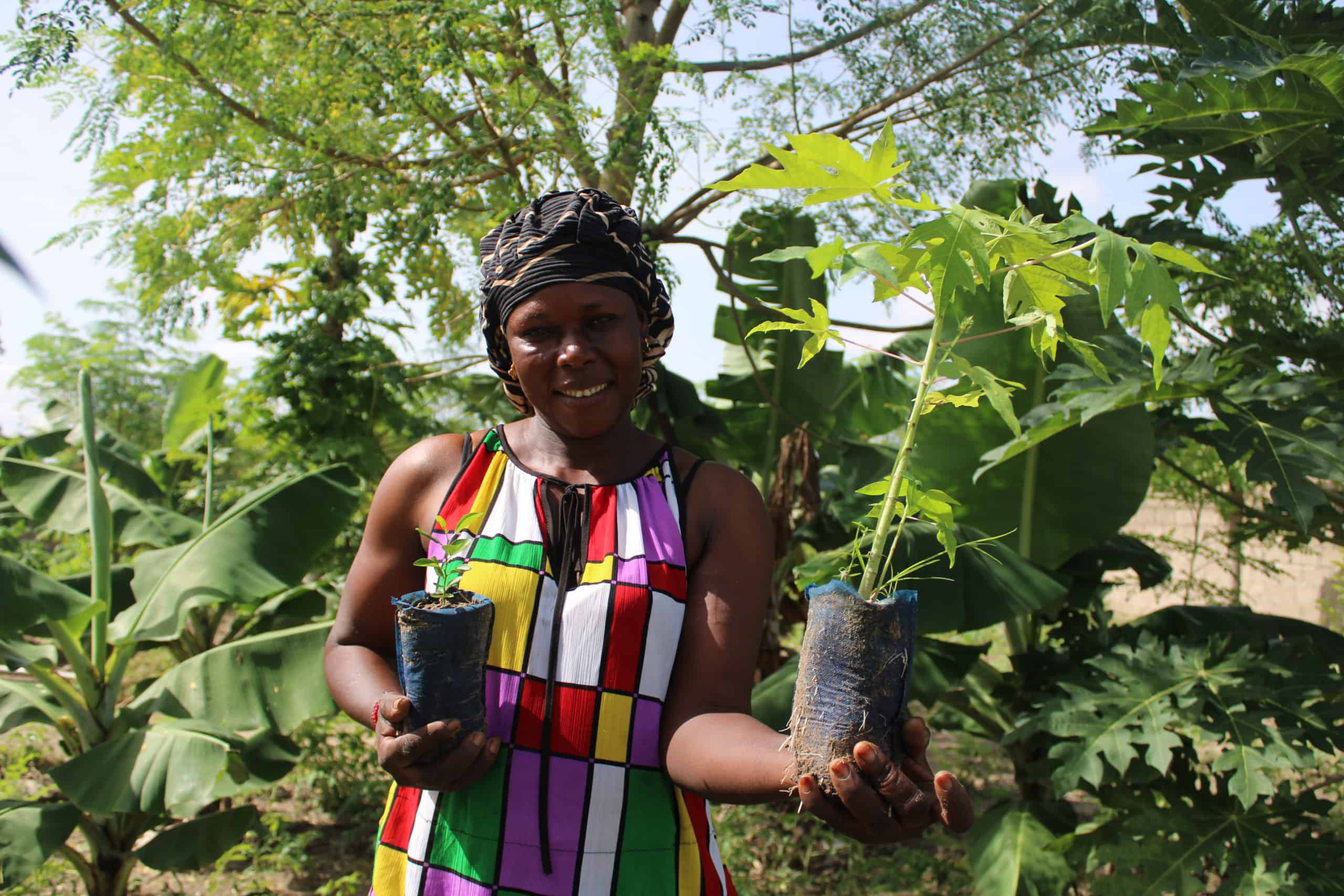 Seynabou Diatta – Trees for the Future