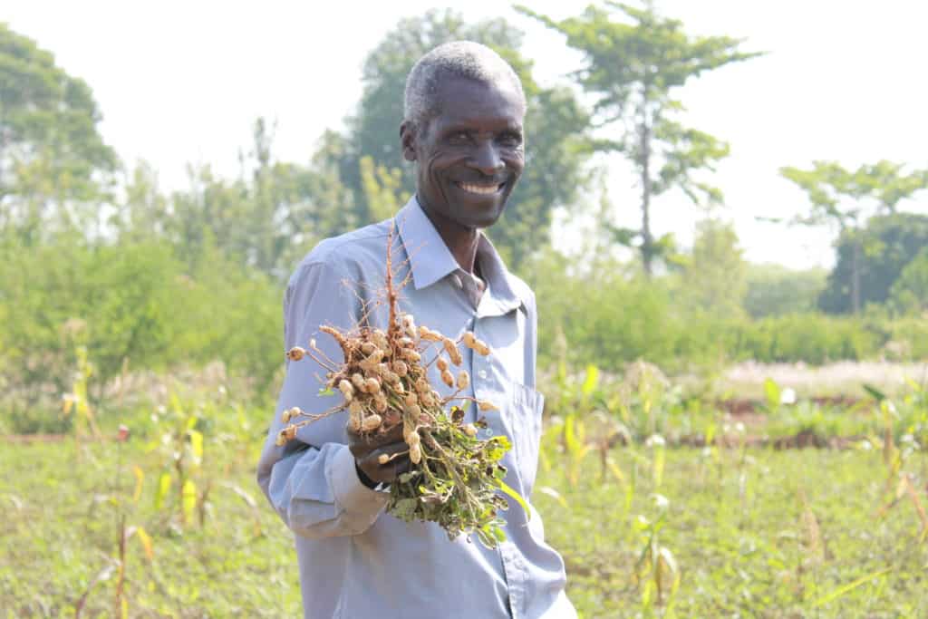 Ugandan Farmers Prove the Power of Agroforestry Trees for the Future