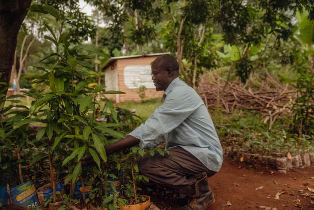 Forest Garden: Man tending to plants in a lush, sustainable garden.