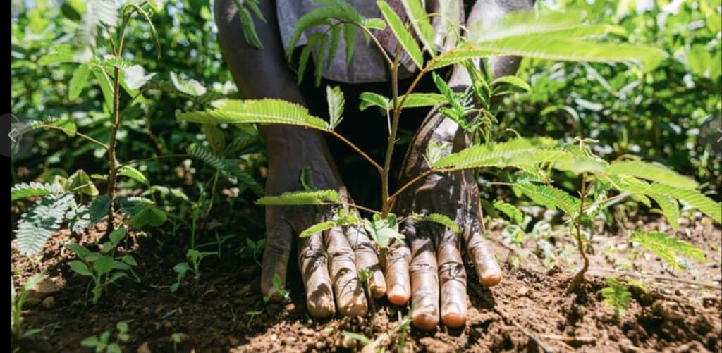 Earth Day 2025
